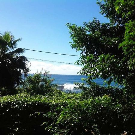 Charming 2Br Guest Suite With Ocean View Praia Exteriér fotografie