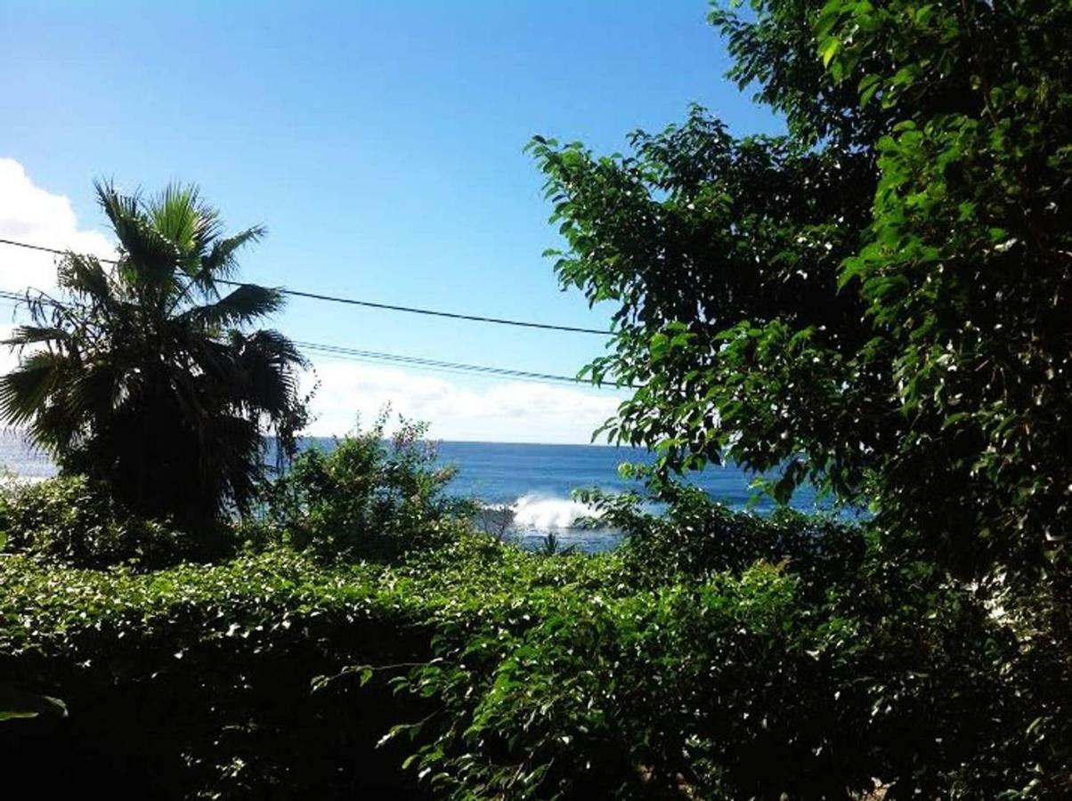 Charming 2Br Guest Suite With Ocean View Praia Exteriér fotografie